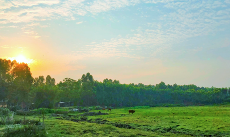 1714438688933678.png image.png